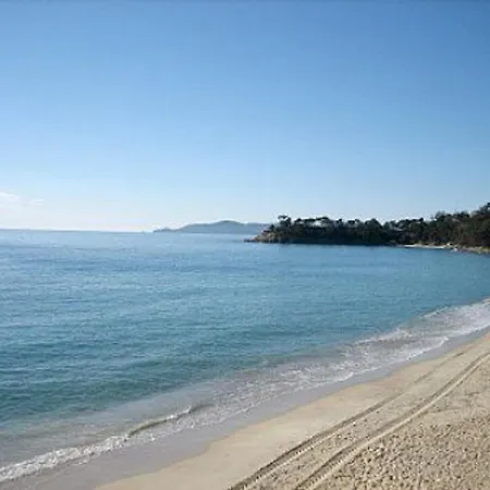 Appartamento 3 Pièces Avec Piscine, Terrasse Et Wifi - - Fr-1-251-561 Le Lavandou